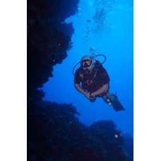 Курс дайвинга CMAS One Star Diver