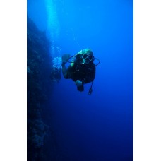 Курс дайвинга CMAS One Star Diver