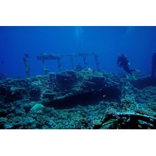 Курс дайвинга CMAS One Star Diver