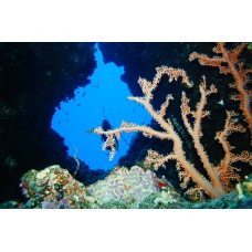 Курс дайвинга CMAS One Star Diver