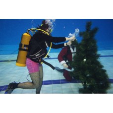 Курс дайвинга CMAS One Star Diver
