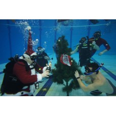 Курс дайвинга CMAS One Star Diver